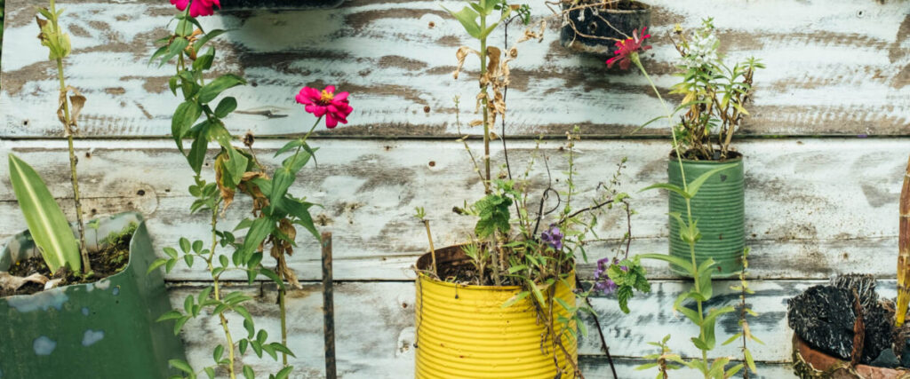 ESG & Circular Economy in the New Sustainable Era