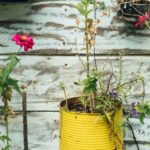 ESG & Circular Economy in the New Sustainable Era